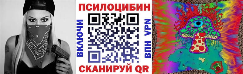 Галлюциногенные грибы Psilocybine cubensis  Купить закладки  Новый Оскол 